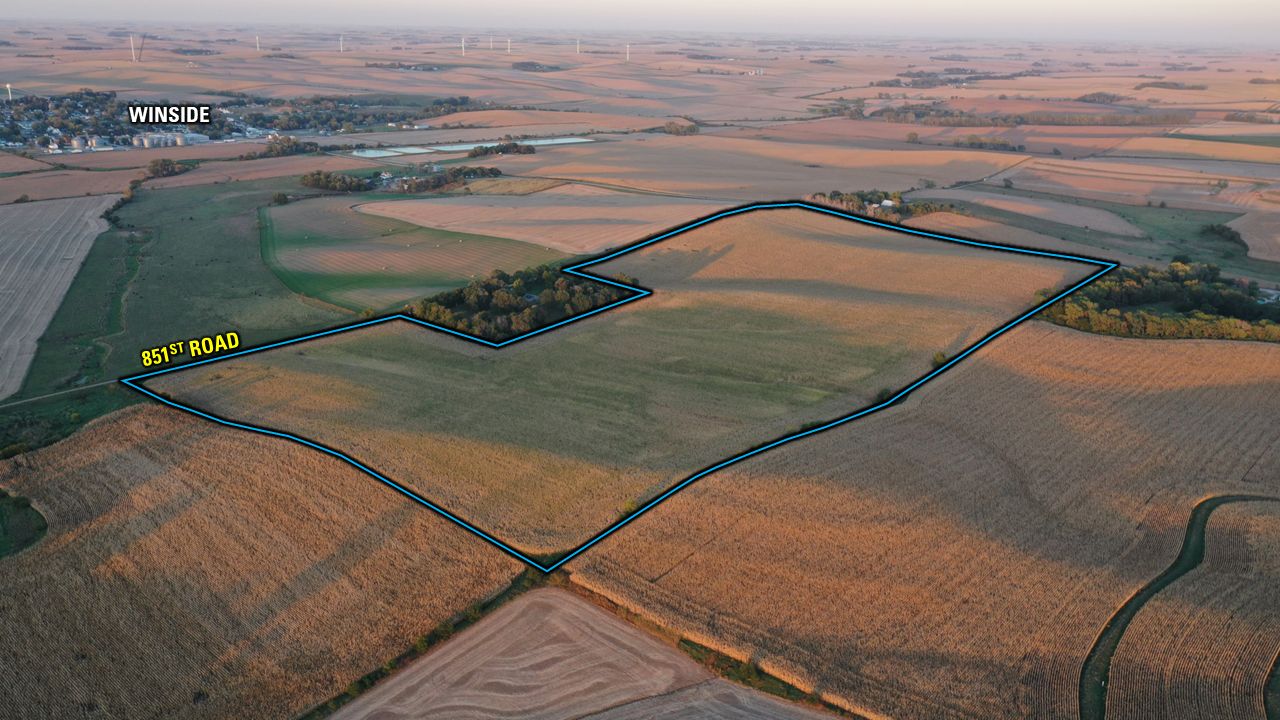 Listing Photo: Drone Edit 3